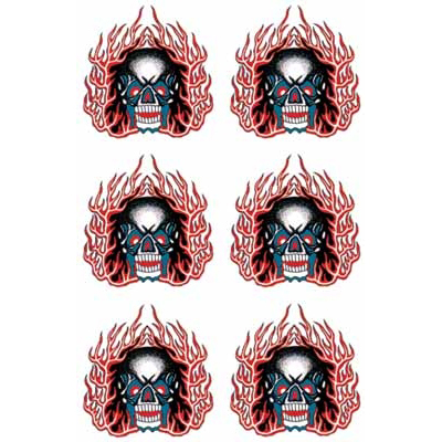 �^�g�D�[�V�[���@�h�N���i�^�g�D�[�E�h�V�[���j