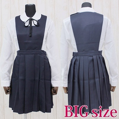 �������q������эZ�̐����i���~���j�@�a�h�f�i�R�X�`���[���j