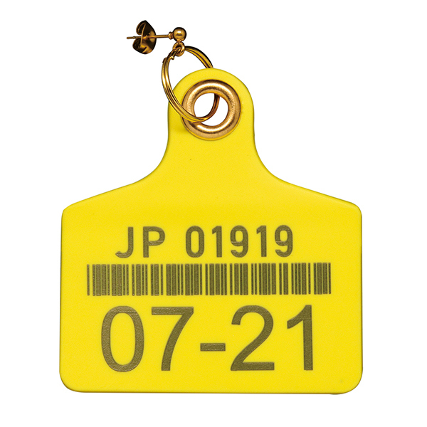 �����^�O�s�A�X�@�����_�V�����f���@�c�����������@�����@����